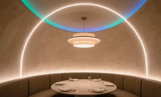 Are All Flexible LED Neon Strips Compatible with Dimmers?